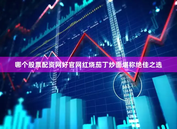 哪个股票配资网好官网红烧茄丁炒面堪称绝佳之选